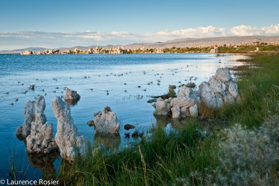 Mono Lake