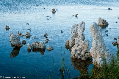 Mono Lake