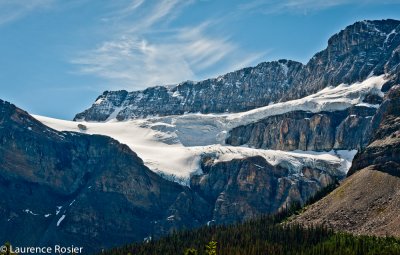 Bow Glacier From Icefields Parkway