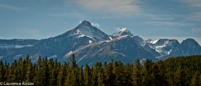From Icefields Parkway