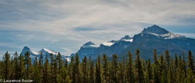 From Icefields Parkway