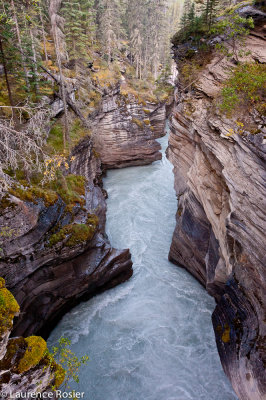 Athabasca Falls