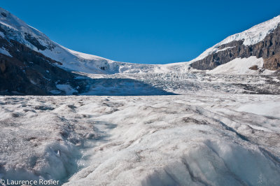 Columbia Icefields