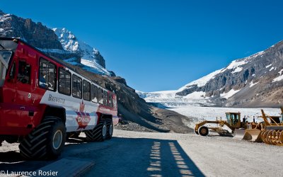 Columbia Icefields