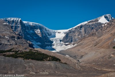 Columbia Icefields