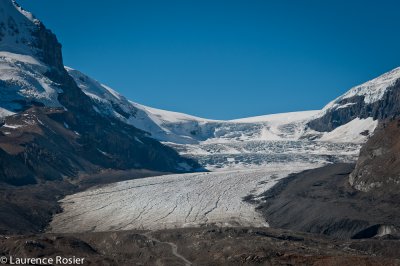 Columbia Icefields