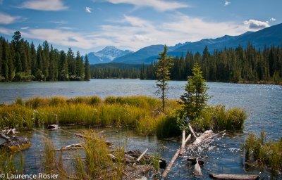 Lake Beauvert And Mount Edith Cavell