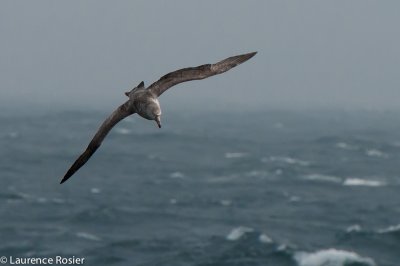 g4/75/849175/3/140540814.1w1MM4eS.jpg