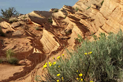 Waterholes_0643.jpg
