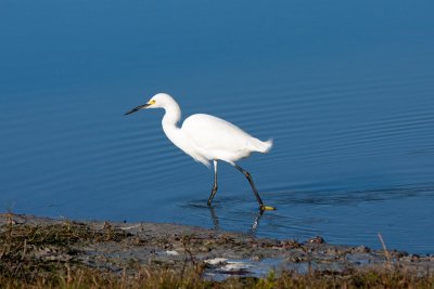IMG_0535.jpg