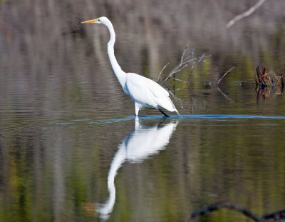 IMG_0556.jpg