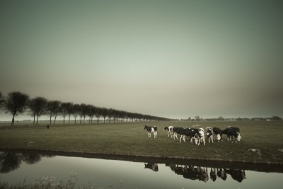 Landscapes: The Netherlands -