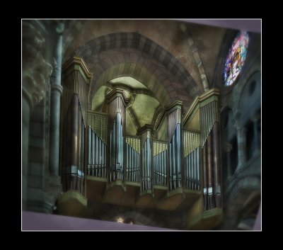 the organ.jpg