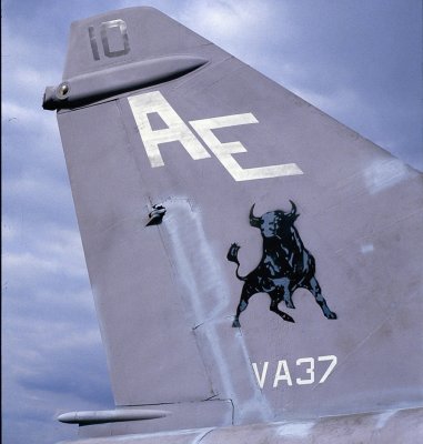 VA37 AE310.jpg