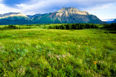 g4/75/936575/3/119675300.60l6ZDXR.jpg