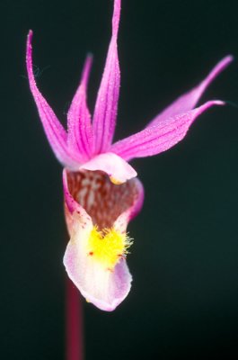 g4/75/936575/3/123018362.FlU0txhV.jpg