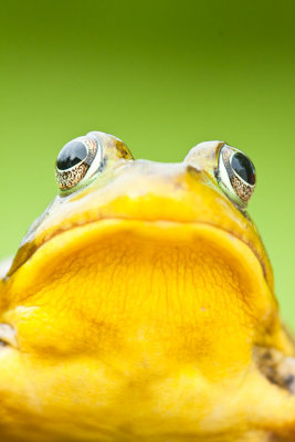 g4/75/936575/3/135658506.TAI96m8m.jpg