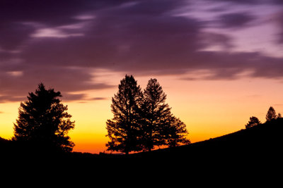g4/75/936575/3/137856892.z6EG3Bla.jpg