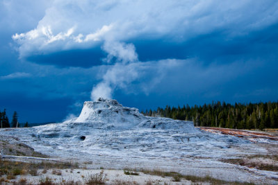 _MG_7158.jpg