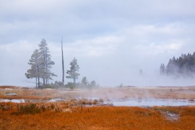 _MG_6548.jpg
