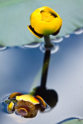 g4/75/936575/3/143771117.ESA3rbv7.jpg
