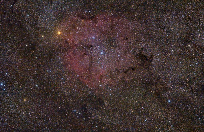 IC 1396 & Elephant's Trunk nebula