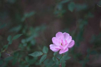 Spring 2011