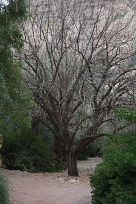 Spring 2011