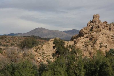 Spring 2011