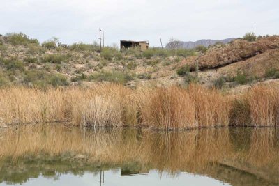 Spring 2011