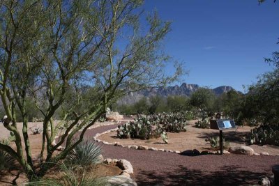 Station Garden, Santa Catalina- Oro Valley, AZ