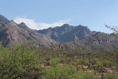 Sabino Canyon, Tucson, AZ