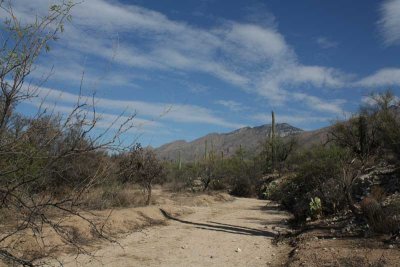 Sabino Canyon, Tucson, AZ