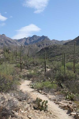 Sabino Canyon, Tucson, AZ