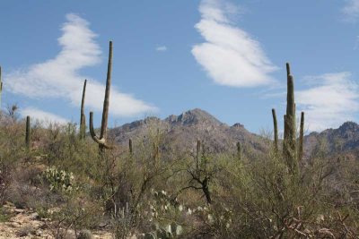 Sabino Canyon, Tucson, AZ