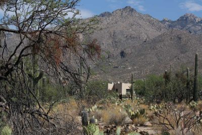 Sabino Canyon, Tucson, AZ
