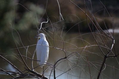 IMG_7619.jpg