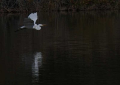 IMG_7627.jpg