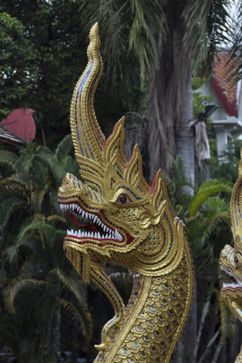 Chiang Mai