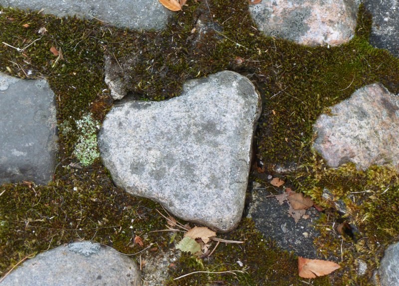 Love Rocks