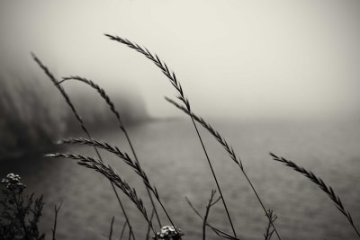 g4/75/990875/3/138664557.bw7Fsgvv.jpg