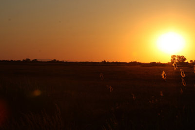 Sunset over the Puszta