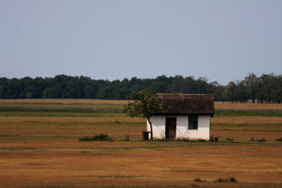 Little house on the praire