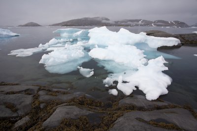 Stranded ice floes