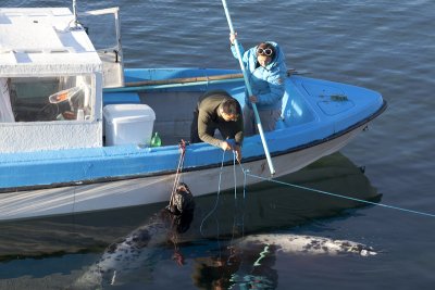 Securing the catch