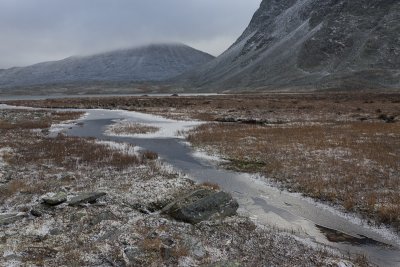 Frozen stream