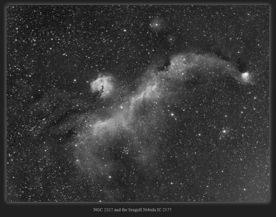NGC-2327-Seagull.jpg