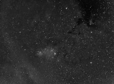 CONE_NGC2264.jpg