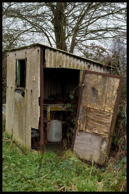 shed-6.jpg