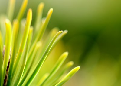 g4/76/125876/3/58176439.hrttl7go.jpg